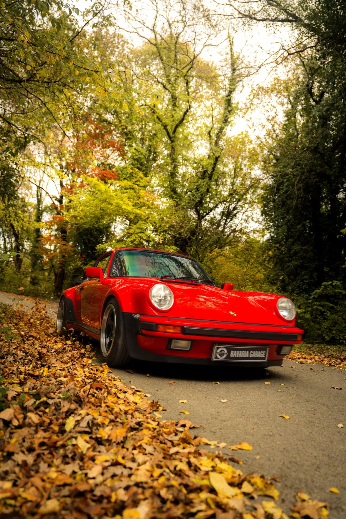 Kırmızı Porsche 930 Turbo sonbahar yaprakları arasında