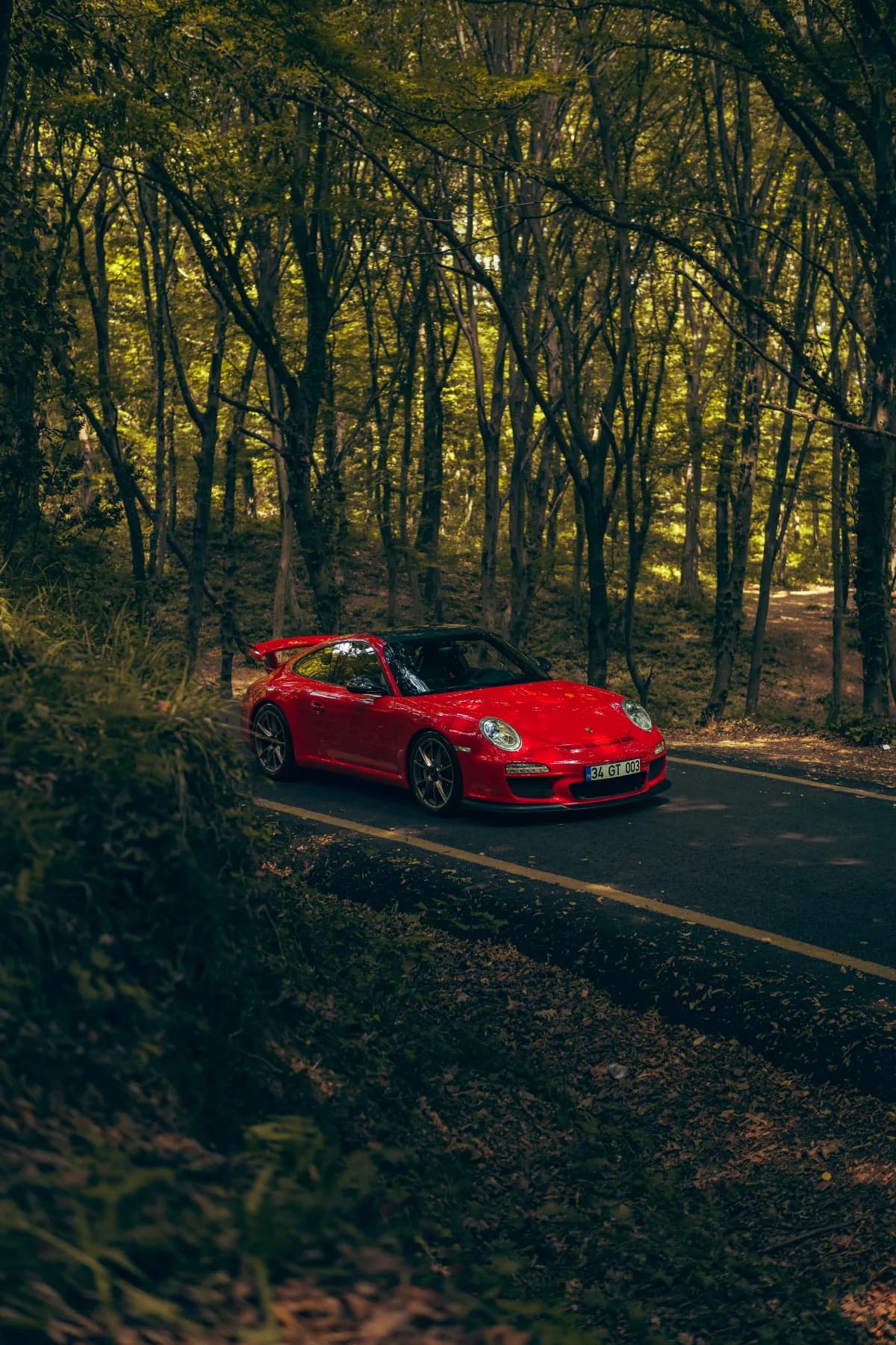 Kırmızı Porsche GT3 orman yolunda